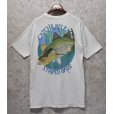 画像1: 【USA製】【ビンテージ】【SUYTTARVEY 】【バックプリント】【Catch＆Release Striped bass】【白】【Ｔシャツ】【サイズＬ】<br> (1)