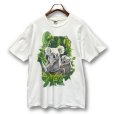 画像1: 【USA製】【ビンテージ】【natural wild life federation】白【コアラ】【Tシャツ】【サイズＸＬ】<br> (1)