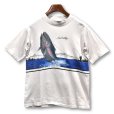 画像1: 80〜90's USA製 ビンテージ【ONEITA】【ベージュ】【釣り】 Tシャツ 【サイズL】<br> (1)