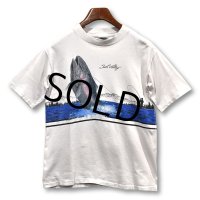 80〜90's USA製 ビンテージ【ONEITA】【ベージュ】【釣り】 Tシャツ 【サイズL】 