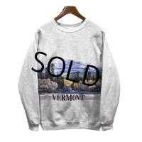 【90s】【ビンテージ】【USA製】ヘインズ【hanes】グレー【VERMONT】【森プリント】【スウェット】【サイズＸＬ】 