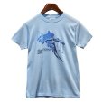 画像1: 80's【ビンテージ】【USA製】ヘインズ【hanes】水色【Mad River Glen】【Ｔシャツ】【サイズM】 <br> (1)