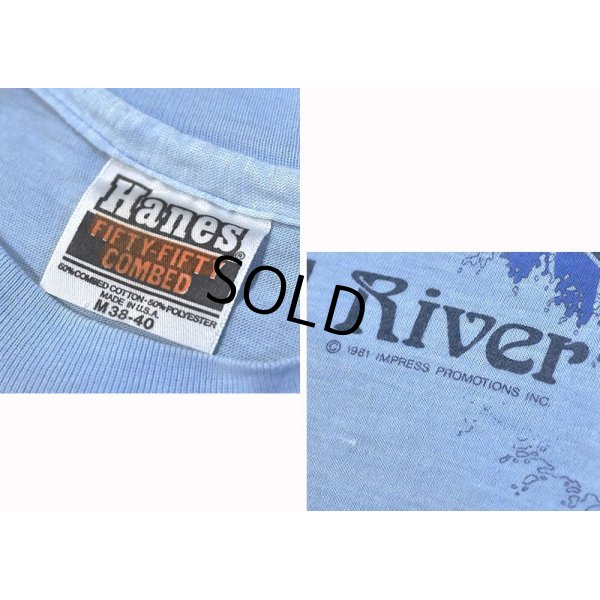 画像2: 80's【ビンテージ】【USA製】ヘインズ【hanes】水色【Mad River Glen】【Ｔシャツ】【サイズM】  