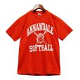 画像1: チャンピオン【赤】【ANNANDALE SOFTBALL】【Ｔシャツ】【サイズM】<br> (1)