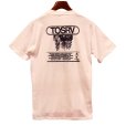 画像3: 80's【USA製】【ビンテージ】【TOSRV】【サイクリング】【Tシャツ】【サイズL】<br> (3)