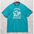 画像1: 90's【USA製】【ビンテージ】ヘインズ【hanes】【エメラルドグリーン】【discovery regional scholars】【Ｔシャツ】【サイズL】<br> (1)