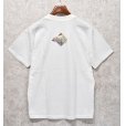 画像4: 90's【USA製】【ビンテージ】アンビル【anvil】ホッキョクグマ【zooper】北極 白熊【Ｔシャツ】シロクマ【サイズＬ】<br> (4)