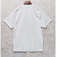 画像3: 【ほぼ未使用】00's  ビンテージ【フルーツオブザルーム】【THE HUMANE SOCIETY】【犬と猫】白 Tシャツ サイズL<br> (3)