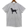 画像1: 90's~ USA製【ビンテージ】【The Black Dog】1999【白】犬【Tシャツ】【サイズM】<br> (1)