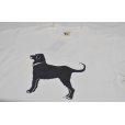 画像3: 90's~ USA製【ビンテージ】【The Black Dog】1999【白】犬【Tシャツ】【サイズM】<br> (3)