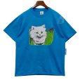 画像1: 90's~【USA製】【ビンテージ】ヘインズ【hanes】【East coast】白猫【水色】【Ｔシャツ】【サイズＬ】<br> (1)