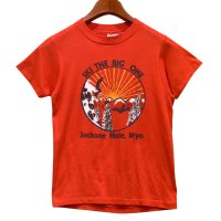 80's【USA製】【ビンテージ】ヘインズ【hanes】SKI THE BIG ONE【赤】スキープリント【ジャクソンホール】【Ｔシャツ】【サイズS】 