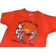 画像3: 80's【USA製】【ビンテージ】ヘインズ【hanes】SKI THE BIG ONE【赤】スキープリント【ジャクソンホール】【Ｔシャツ】【サイズS】<br> (3)