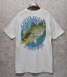 画像1: 【USA製】【ビンテージ】【SUYTTARVEY 】【バックプリント】【Catch＆Release Striped bass】【白】【Ｔシャツ】【サイズＬ】  (1)