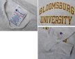 画像2: 90’s【ビンテージ】【チャンピオン】【リバースウィーブ】【グレー】【BLOOMSBURG UNIVERSITY】【カレッジスウェット】二段プリント【刺繡タグ】【サイズL】  (2)