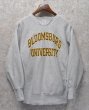 画像1: 90’s【ビンテージ】【チャンピオン】【リバースウィーブ】【グレー】【BLOOMSBURG UNIVERSITY】【カレッジスウェット】二段プリント【刺繡タグ】【サイズL】  (1)