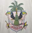 画像4: 80’s【USA製】ビンテージ【Jimmy Buffett’s】【ジミーバフェット】【Caribbean soul】【オウム】【ヤシの木】【白】【Tシャツ】 サイズL  (4)