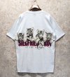 画像4: 【90's】USA製【デッドストック】【SIGNAL SPORT】白青 霜降り【ホワイトタイガー】SIEGFRIED＆ROY 【Ｔシャツ】ビッグサイズ【サイズXL】  (4)