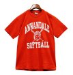 画像1: チャンピオン【赤】【ANNANDALE SOFTBALL】【Ｔシャツ】【サイズM】  (1)