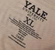 画像2: 【ビンテージ】【ベージュｘ青】YALE UNIV【ブルドッグ】【Ｔシャツ】【サイズXL】  (2)