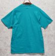 画像3: 90's【USA製】【ビンテージ】ヘインズ【hanes】【エメラルドグリーン】【discovery regional scholars】【Ｔシャツ】【サイズL】  (3)