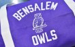 画像3: 80's【デッドストック】USA製【ビンテージ】【BENSALEM OWLS】【紫×白】スクールバッグ【フクロウ】【ボストンバッグ】【ハンドバッグ】   (3)