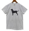 画像1: 90's~ USA製【ビンテージ】【The Black Dog】1999【白】犬【Tシャツ】【サイズM】  (1)