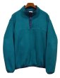 画像1: 【ビンテージ】【LL Bean】LLビーン【緑×紺】プルオーバーフリース【スナップTフリース】【L程度】  (1)